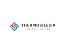 thermosilesia logo