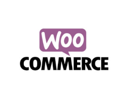 sklep internetowy woocommerce logo